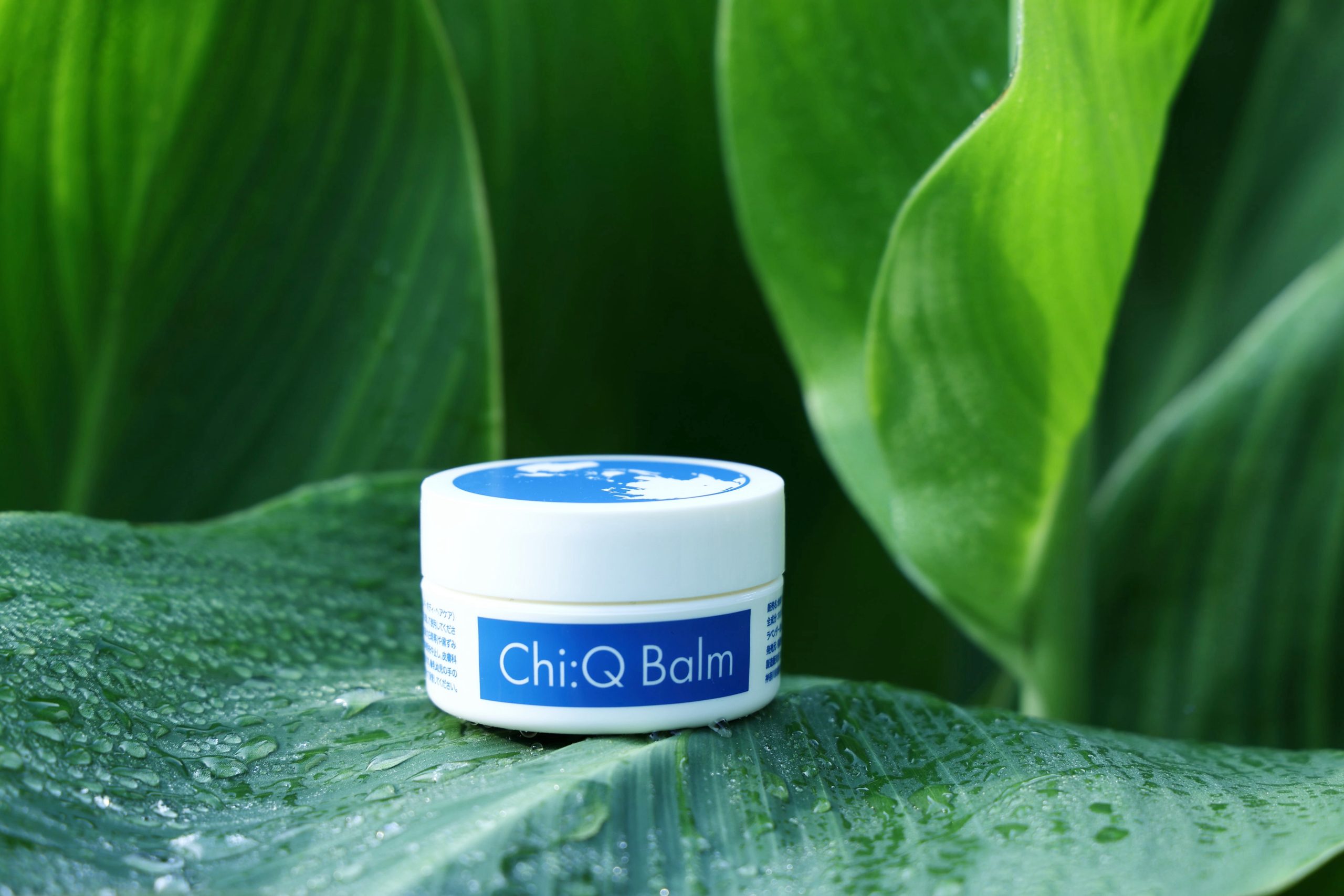 ChiQ Balm 地球バーム1