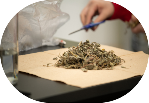 名称未設定のデザイン