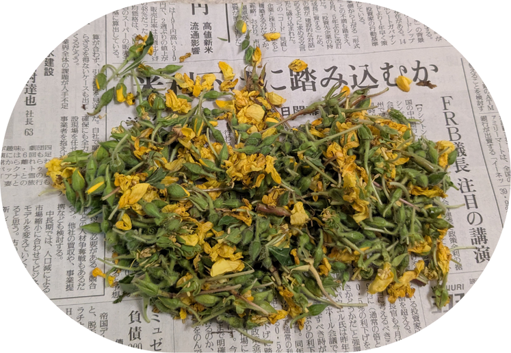 名称未設定のデザイン (4)