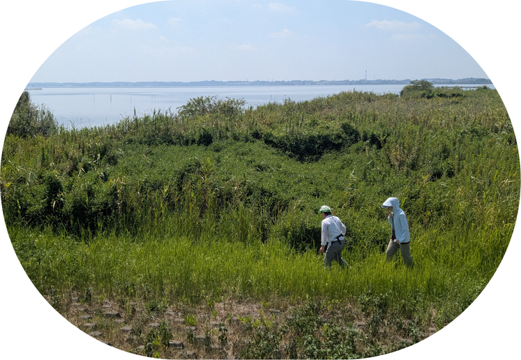 名称未設定のデザイン (3)