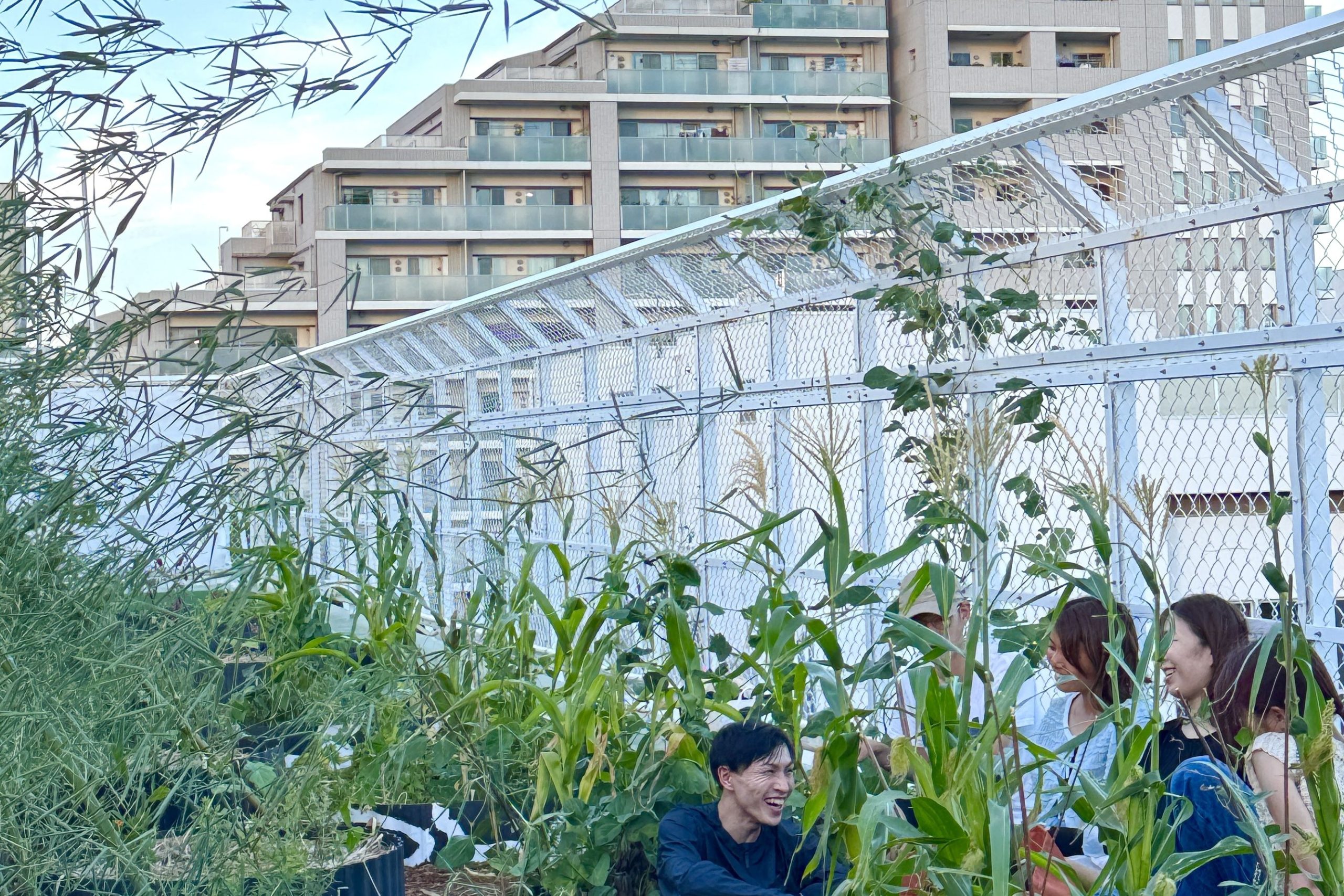 7月の終わり – 小野勝彦